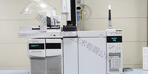 三重四级杆气质联用仪